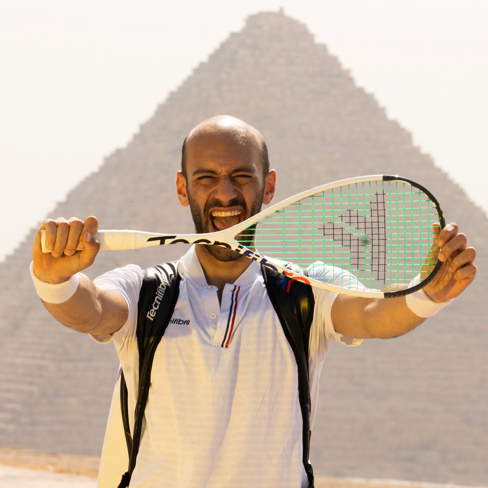 Tecnifibre Squash Rackets | PDHSports