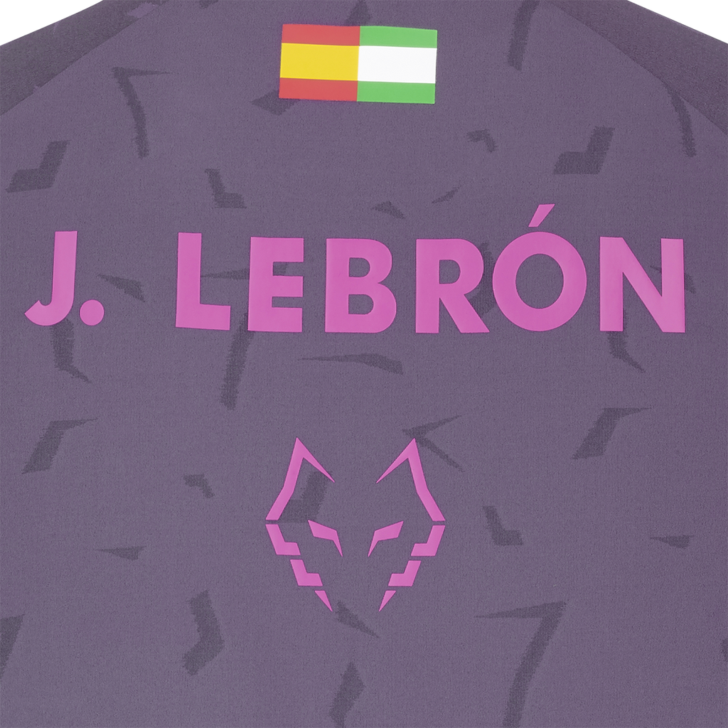 Babolat Men's Replica Lebron Tee 27 Dark Plum
