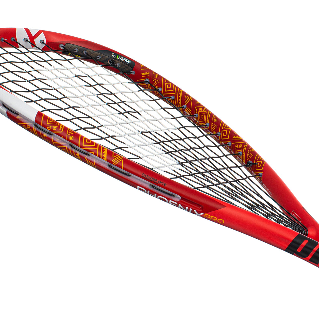 Rex Pro Squash Rackets Prince Phoenix Pro 750 Squash Racket 2024 – PDHSports