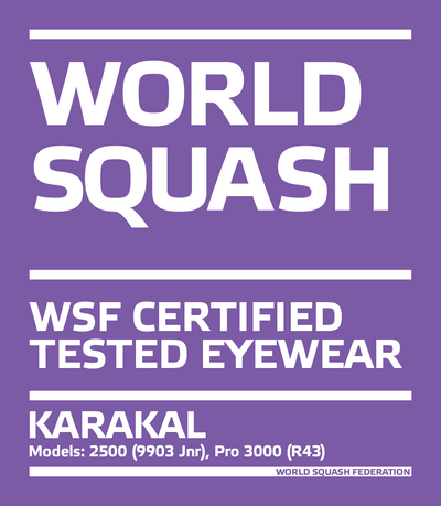 Karakal Pro 3000 Squash Eyewear Black Red