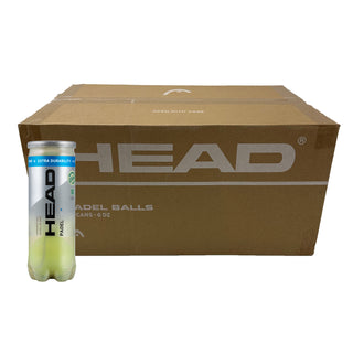 HEAD Padel Pro + Padel Ball - 6 Dozen (Box)