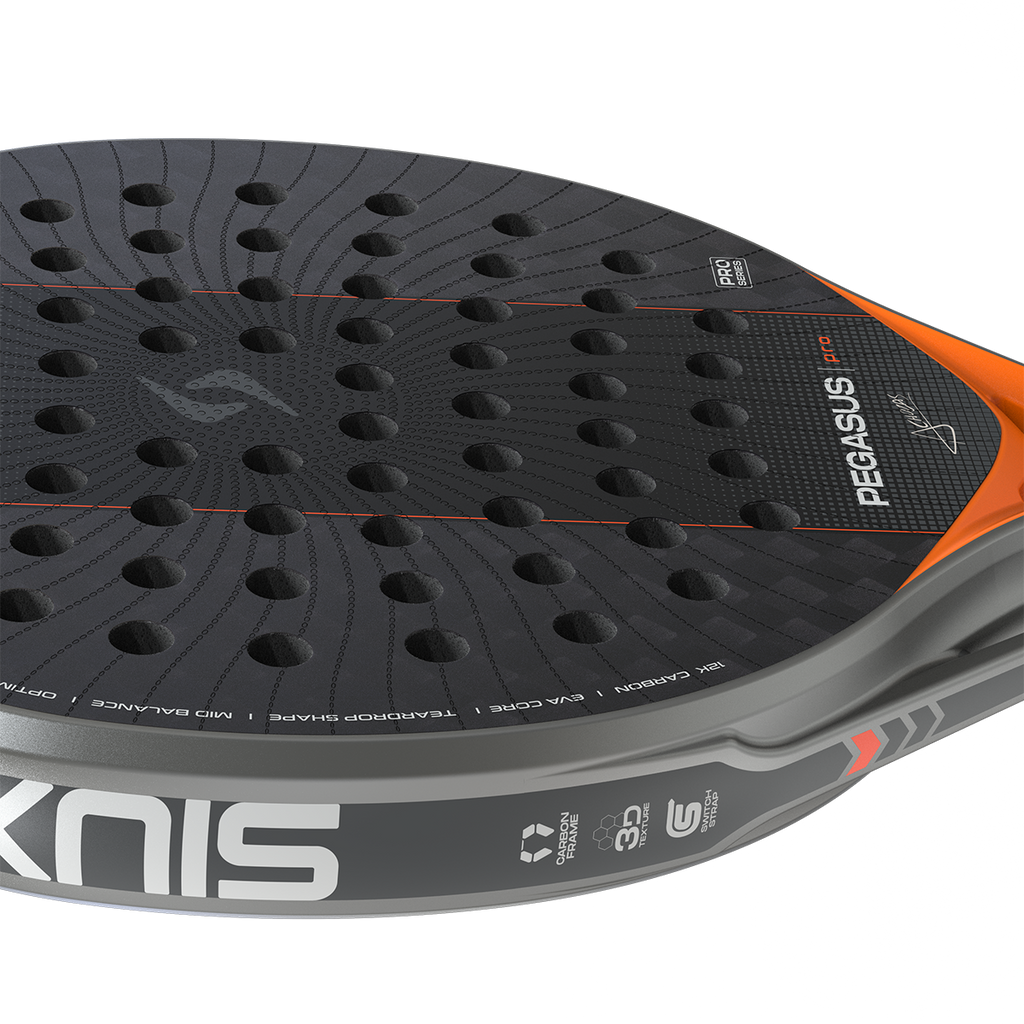 Siux Pegasus Pro 2027 Padel Racket Silver