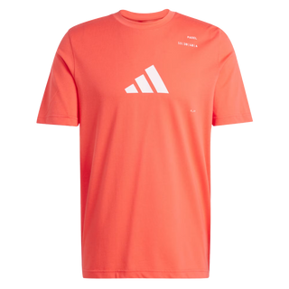 Adidas Men's Padel Category Graphic T-Shirt Red