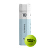 Triniti Tennis Balls 4 Ball Can