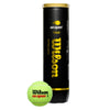 US Open Tennis Balls 4 Ball Can