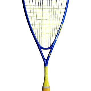 Black Knight Quicksilver Echo Squash Racket