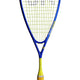 Black Knight Quicksilver Echo Squash Racket